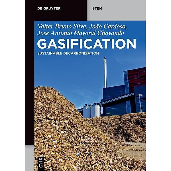 Gasification / De Gruyter STEM, Valter Bruno Silva, João Cardoso, Antonio Chavando