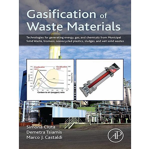 Gasification of Waste Materials, Simona Ciuta, Demetra Tsiamis, Marco J. Castaldi