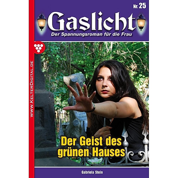 Gaslicht 25 / Gaslicht Bd.25, Gabriela Stein