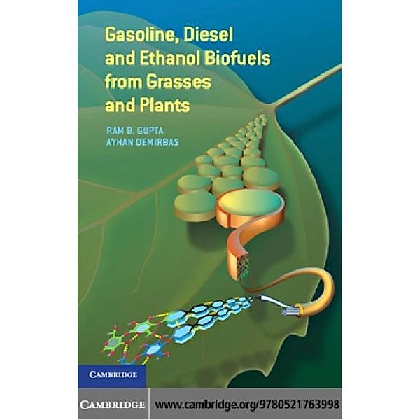 Gasoline, Diesel, and Ethanol Biofuels from Grasses and Plants, Ram B. Gupta