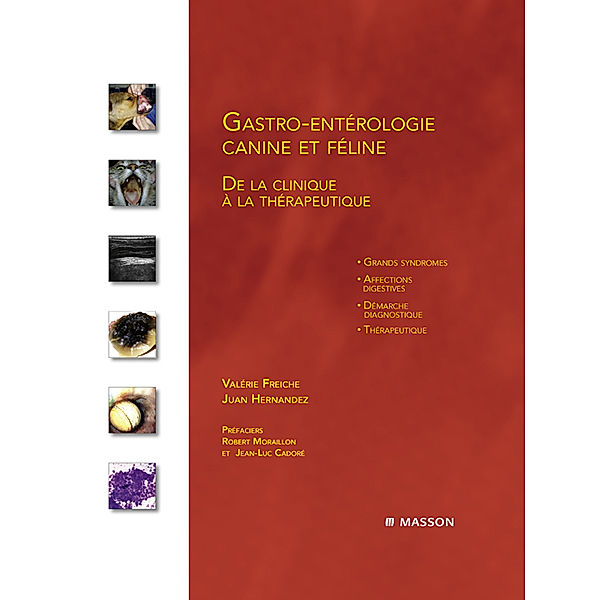 Gastro-entérologie canine et féline, Juan Hernandez, Valérie Freiche