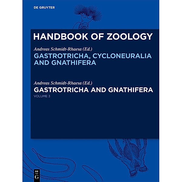 Gastrotricha and Gnathifera