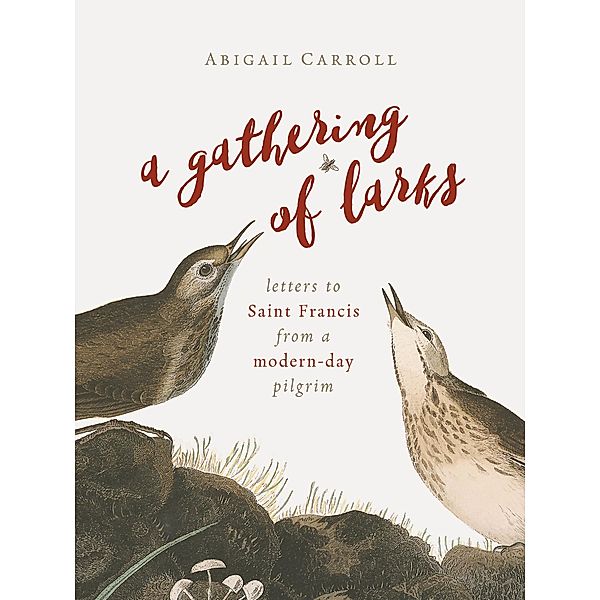 Gathering of Larks, Abigail Carroll