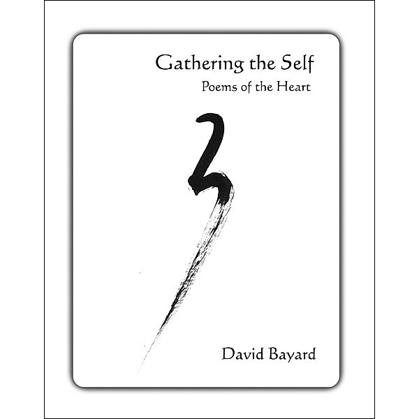 Gathering the Self / Skyboy Photos, David Bayard