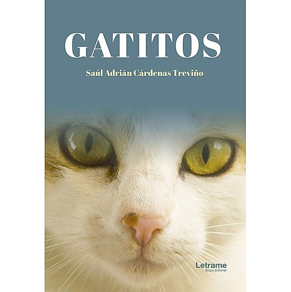Gatitos, Saúl Adrián Cárdenas Treviño