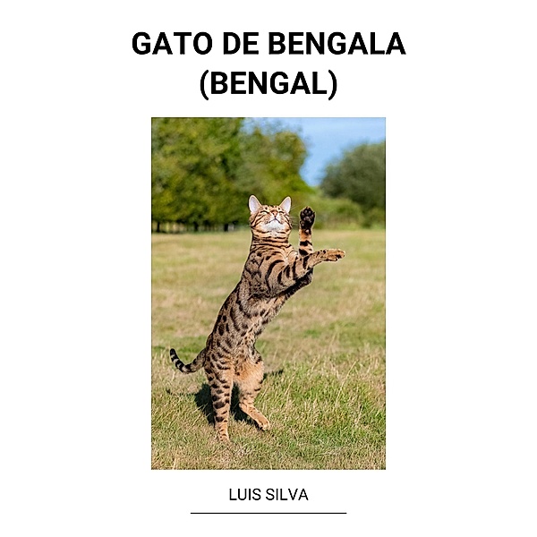 Gato de Bengala (Bengal), Luis Silva