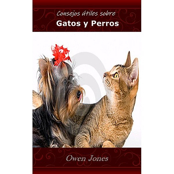 Gatos y Perros (Como hacer..., #77) / Como hacer..., Owen Jones