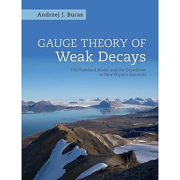 Gauge Theory of Weak Decays, Andrzej J. Buras