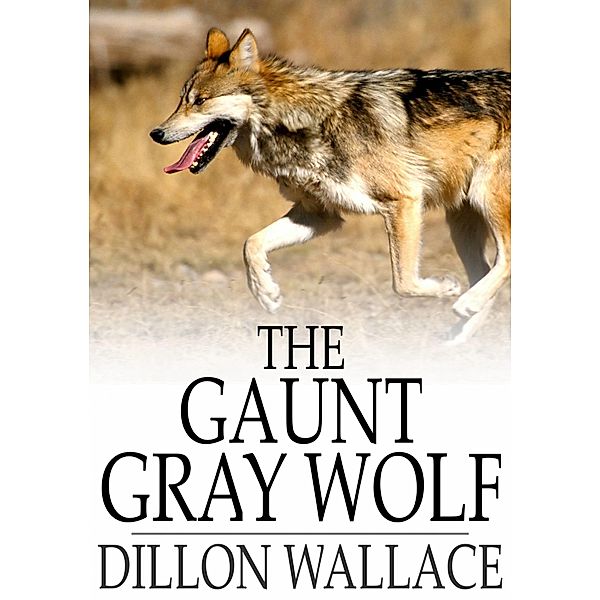 Gaunt Gray Wolf / The Floating Press, Dillon Wallace