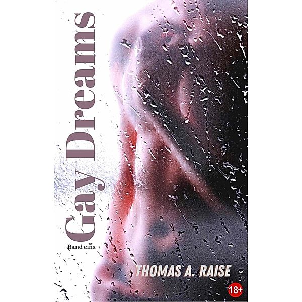 Gay Dreams - Band 1, Thomas A. Raise