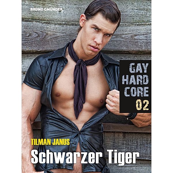 Gay Hardcore Quickie 02: Schwarzer Tiger / Gay Hardcore Quickie Bd.2, Tilman Janus