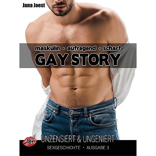 Gay Story - Ausgabe 3 / Gay Story - Sexgeschichte für Erwachsene Bd.1, Jana Joest