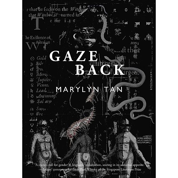 Gaze Back, Marylyn Tan