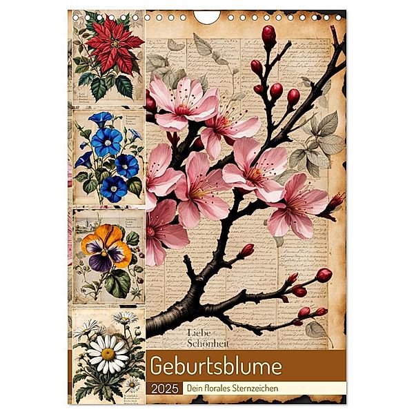 Geburtsblume, dein florales Sternzeichen (Wandkalender 2025 DIN A4 hoch), CALVENDO Monatskalender, Calvendo, Babette Whitter