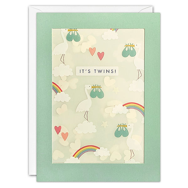 james ellis Geburtskarte PAPER SHAKIES – IT’S TWINS – STORKS PATTERN