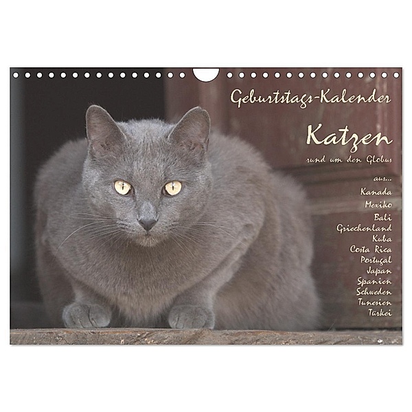 Geburtstags-Kalender Katzen... rund um den Globus (Wandkalender 2024 DIN A4 quer), CALVENDO Monatskalender, Wolfgang Rech