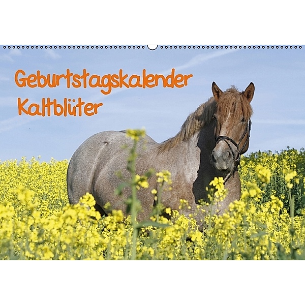 Geburtstagskalender - Kaltblüter (Wandkalender immerwährend DIN A2 quer), Antje Lindert-Rottke