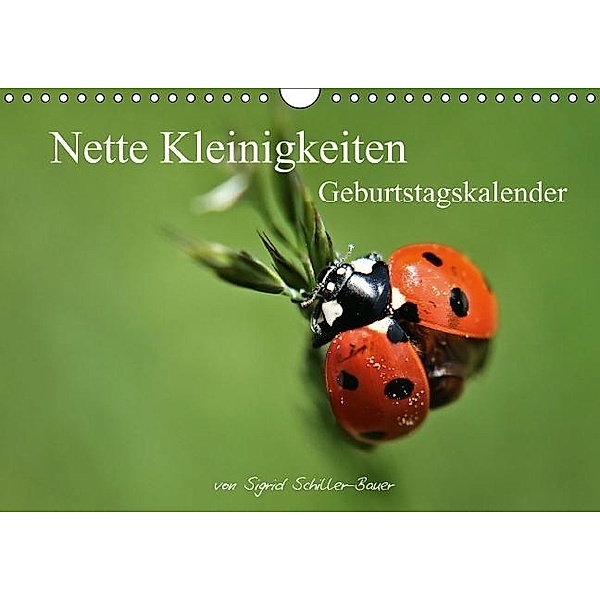 Geburtstagskalender Nette Kleinigkeiten (Wandkalender immerwährend DIN A4 quer), Sigrid Schiller-Bauer
