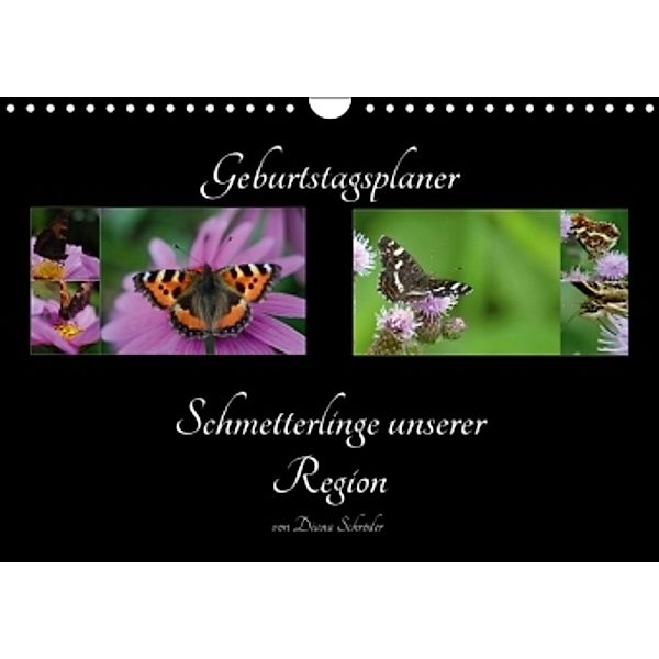 Geburtstagskalender Schmetterlinge unserer Region (Wandkalender 2016 DIN A4 quer), Diana Schröder