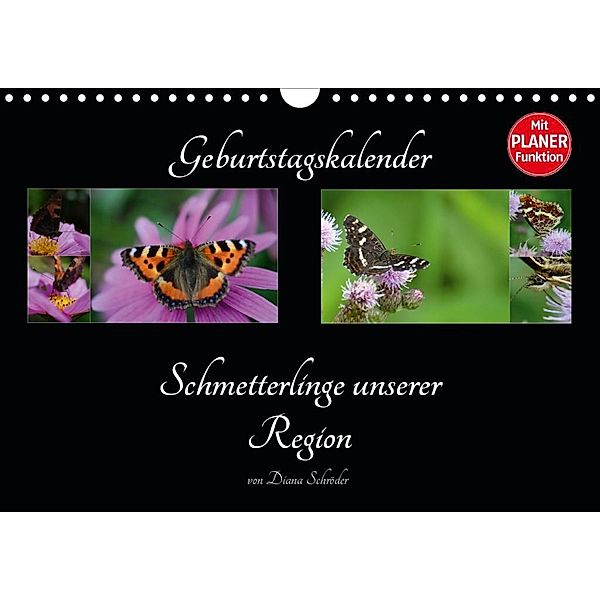 Geburtstagskalender Schmetterlinge unserer Region (Wandkalender 2020 DIN A4 quer), Diana Schröder