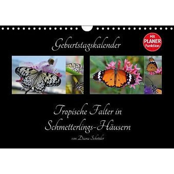 Geburtstagskalender Tropische Falter in Schmetterlings-Häusern (Wandkalender 2016 DIN A4 quer), Diana Schröder
