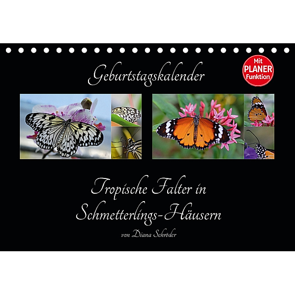 Geburtstagskalender Tropische Falter in Schmetterlings-Häusern (Tischkalender 2019 DIN A5 quer), Diana Schröder