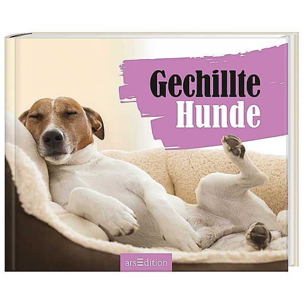 Gechillte Hunde, Paulus Vennebusch