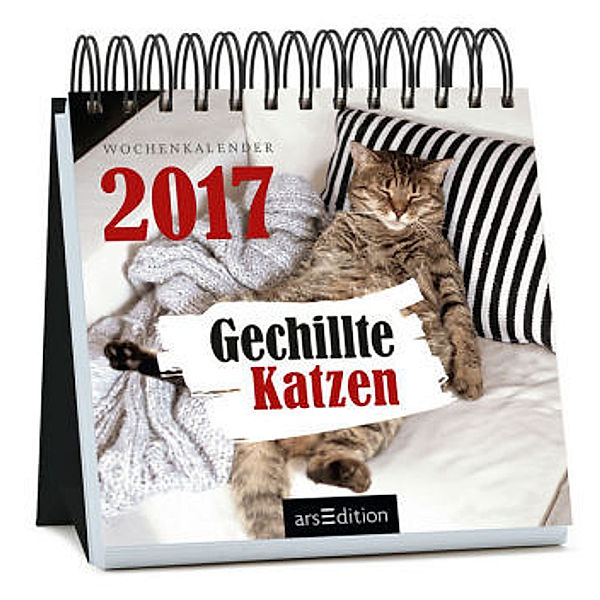 Gechillte Katzen 2017, Paulus Vennebusch