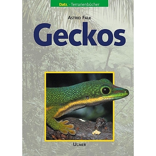 Geckos, Astrid Falk