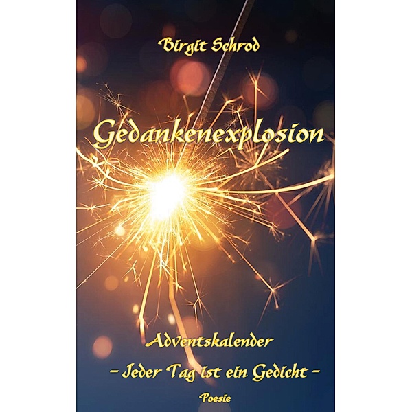 Gedankenexplosion / Gedankenexplosion Bd.4, Birgit Schrod