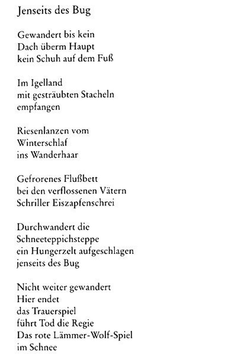 Gedichte Buch von Rose Ausländer versandkostenfrei bestellen - Weltbild.ch