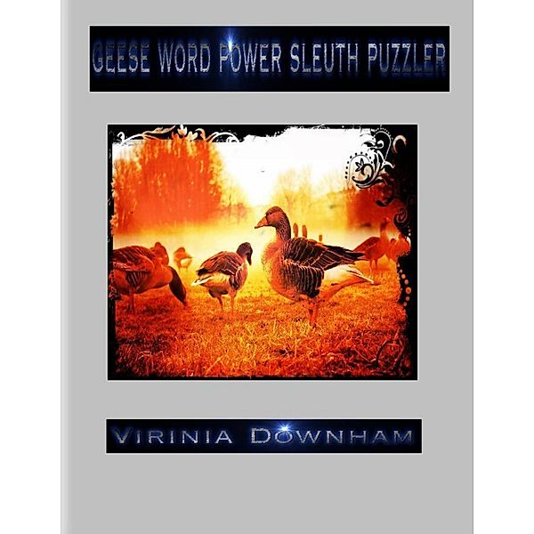 Geese Word Power Sleuth Puzzler, Virinia Downham