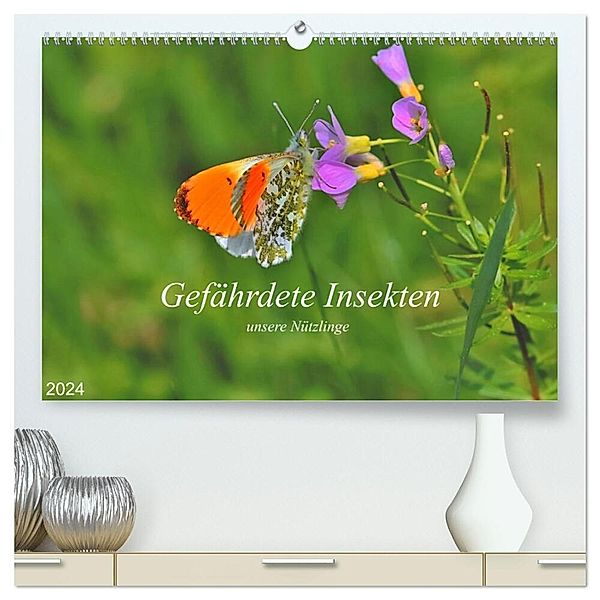 Gefährdete Insekten - unsere Nützlinge (hochwertiger Premium Wandkalender 2024 DIN A2 quer), Kunstdruck in Hochglanz, Michael Thoß