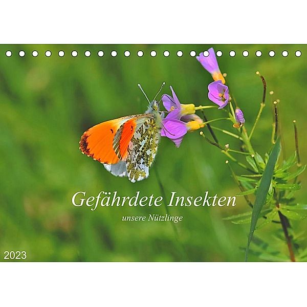 Gefährdete Insekten - unsere Nützlinge (Tischkalender 2023 DIN A5 quer), Michael Thoß