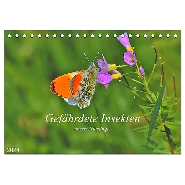 Gefährdete Insekten - unsere Nützlinge (Tischkalender 2024 DIN A5 quer), CALVENDO Monatskalender, Michael Thoß