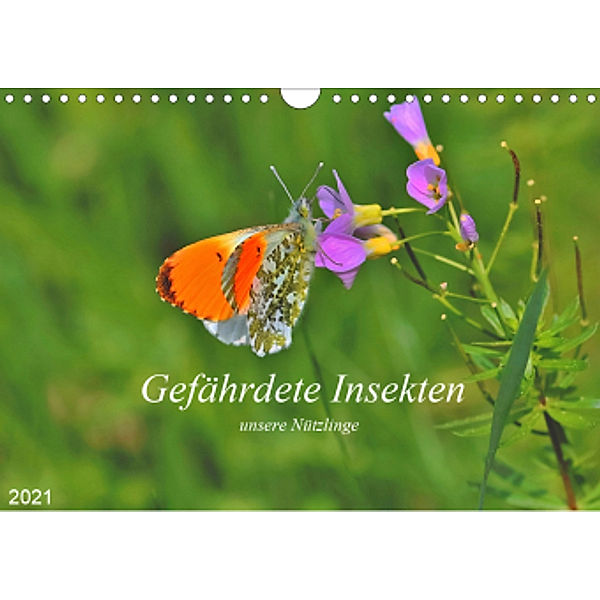 Gefährdete Insekten - unsere Nützlinge (Wandkalender 2021 DIN A4 quer), Michael Thoss