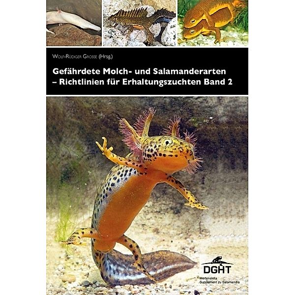 Gefährdete Molch- und Salamanderarten der Welt - Richtlinien für Erhaltungszuchten.Bd.2