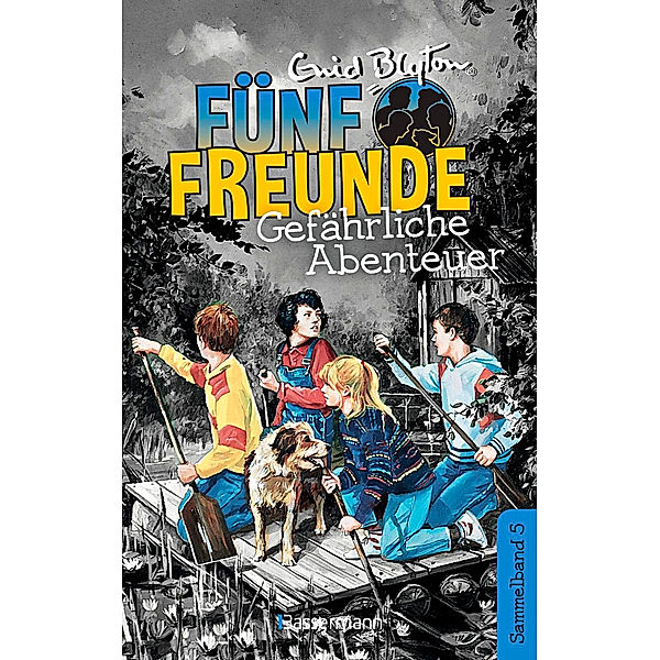Gefährliche Abenteuer / Fünf Freunde Doppelbände Bd.5, Enid Blyton
