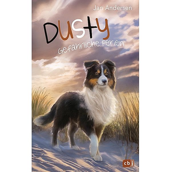 Gefährliche Ferien / Dusty Bd.5, Jan Andersen