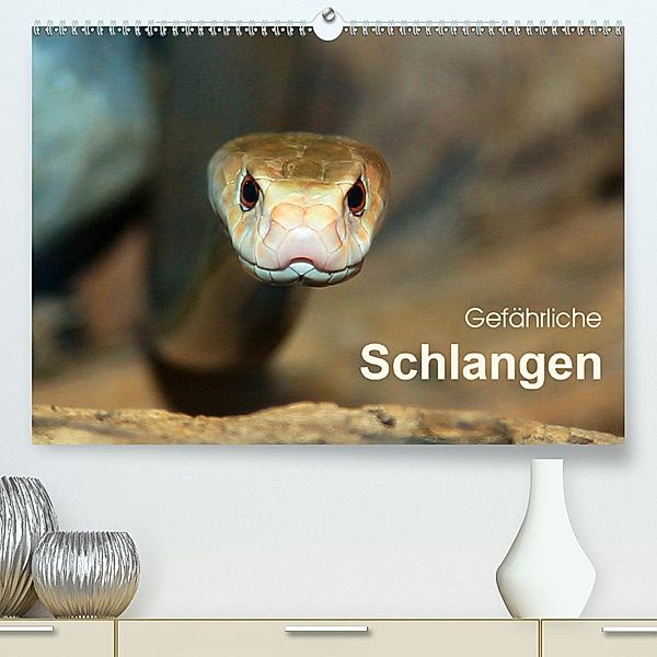 Gefährliche Schlangen (Premium, hochwertiger DIN A2 Wandkalender 2020, Kunstdruck in Hochglanz), Michael Herzog