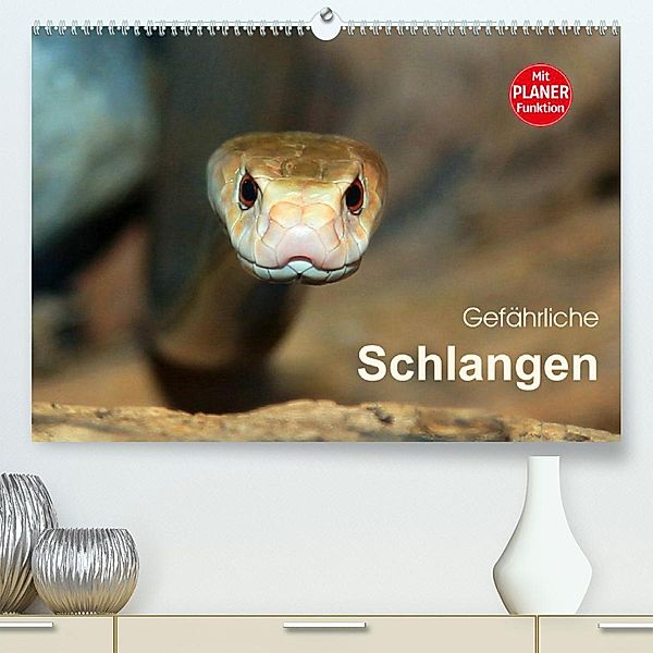 Gefährliche Schlangen (Premium, hochwertiger DIN A2 Wandkalender 2023, Kunstdruck in Hochglanz), Michael Herzog