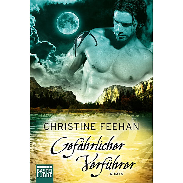 Gefährlicher Verführer / Dark Carpathians Bd.6, Christine Feehan