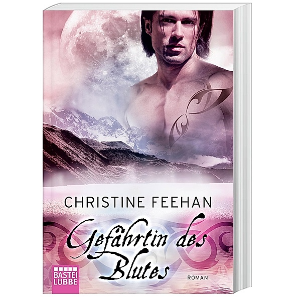 Gefährtin des Blutes / Dark Carpathians Bd.26, Christine Feehan