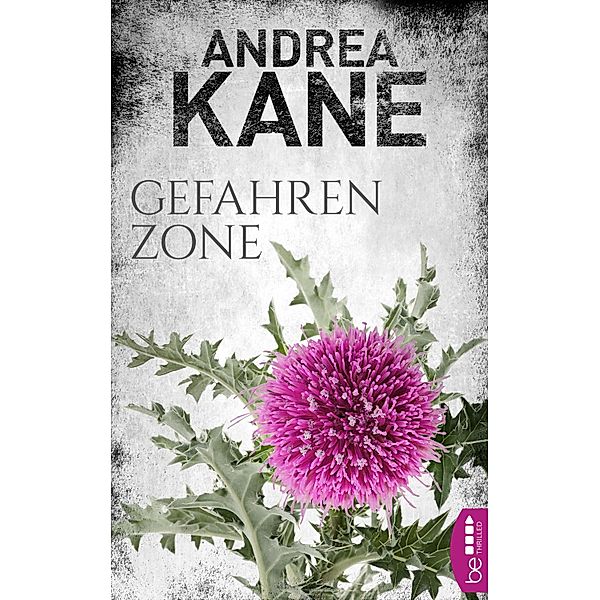 Gefahrenzone / Romantic Suspense der Bestseller-Autorin Andrea Kane Bd.5, Andrea Kane