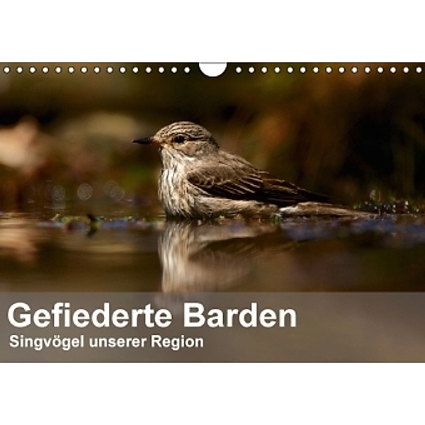 Gefiederte Barden - Singvögel unserer Region (Wandkalender 2016 DIN A4 quer), Alexander Krebs