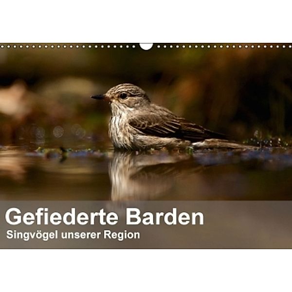 Gefiederte Barden - Singvögel unserer Region (Wandkalender 2016 DIN A3 quer), Alexander Krebs