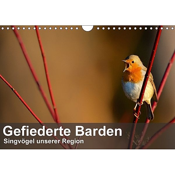 Gefiederte Barden - Singvögel unserer Region (Wandkalender 2018 DIN A4 quer), Alexander Krebs