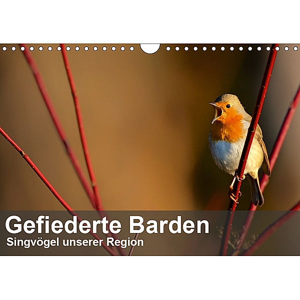 Gefiederte Barden - Singvögel unserer Region (Wandkalender 2019 DIN A4 quer), Alexander Krebs