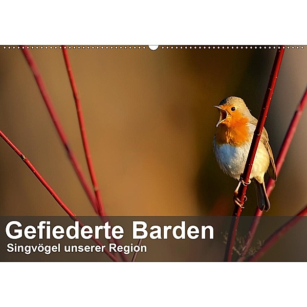 Gefiederte Barden - Singvögel unserer Region (Wandkalender 2020 DIN A2 quer), Alexander Krebs