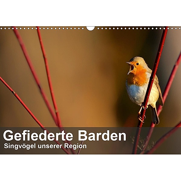 Gefiederte Barden - Singvögel unserer Region (Wandkalender 2020 DIN A3 quer), Alexander Krebs